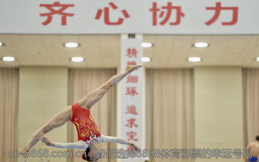 如何选择8868体育彩票的幸运号码