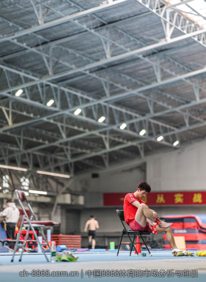 中国8868体育的市场分析与前景